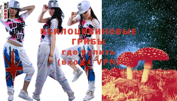бошки Алексеевка