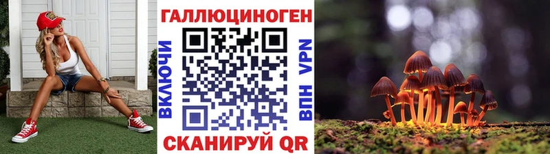 OMG как войти  Приозерск  Псилоцибиновые грибы мицелий  где можно купить  
