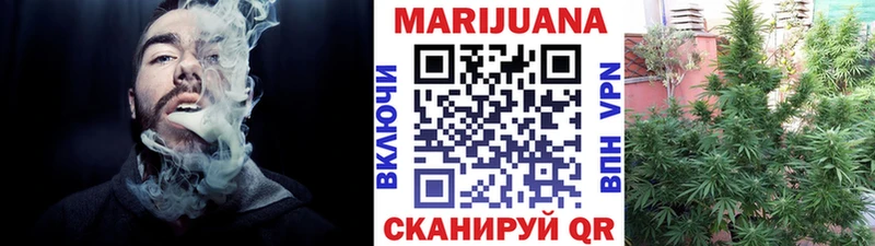 Каннабис план  где найти наркотики  ОМГ ОМГ   Приозерск 